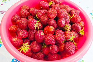 Подготавливаем клубнику